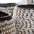 Cowrie Shell Basket