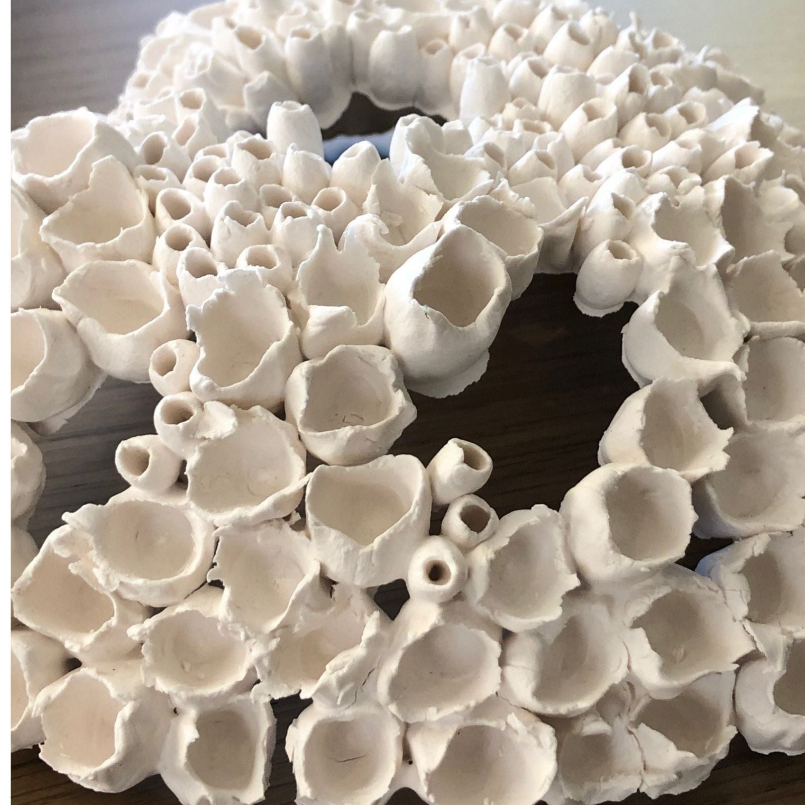 Wall Coral: Paper Clay by Deb McKay – HK Edit